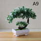 Simulation Fake Potted Bonsai Tree Artificial Plant Desk Ornament Artificial Plant Bonsai Small Tree Pot Home Decoration