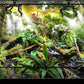 360Degree Rotating Reptiles Fogger Mist Sprinkler Terrarium Nozzle Adjustable Greenhouse Irrigation Pet Cooling System Sprayer