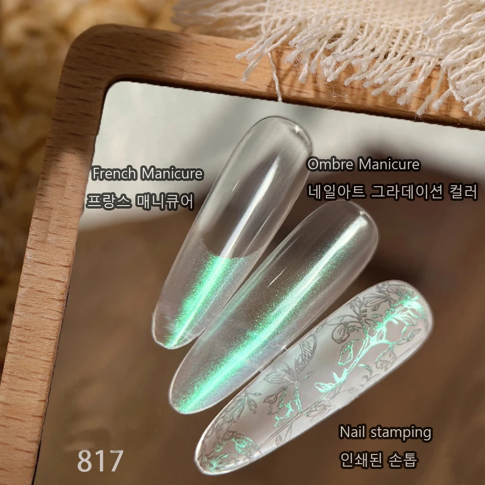 Nail stamping Drawing Gel Plaster Effect 3D Sand Texture slapped gradient effect Gel Polish UV Nail Polish Lacquer Varnish