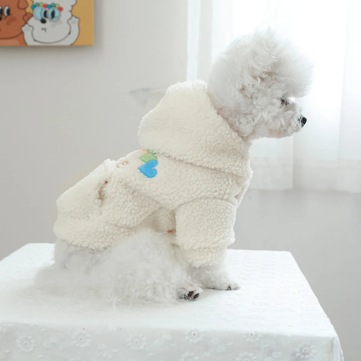 Pet Love Lamb Fleece Coat Clothes Dog Hoodie Coat Cat Clothing Rainbow Love Plush Coat Dog Clothes for Small Dogs Puppy