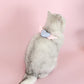 Pet Plaid Love Wing Collar Cat Puppy Teddy Angel Princess Bib Pink Blue Cute Necklace