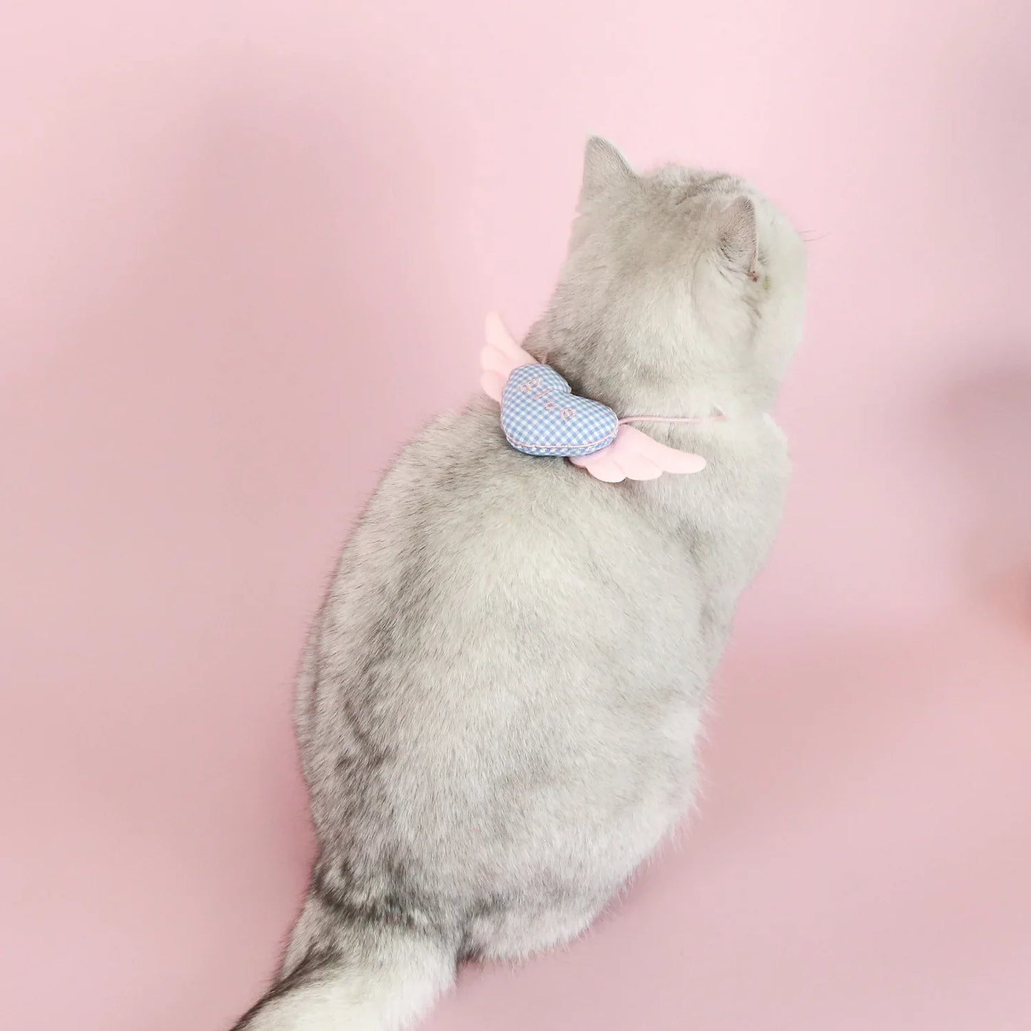 Pet Plaid Love Wing Collar Cat Puppy Teddy Angel Princess Bib Pink Blue Cute Necklace