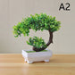 Simulation Fake Potted Bonsai Tree Artificial Plant Desk Ornament Artificial Plant Bonsai Small Tree Pot Home Decoration