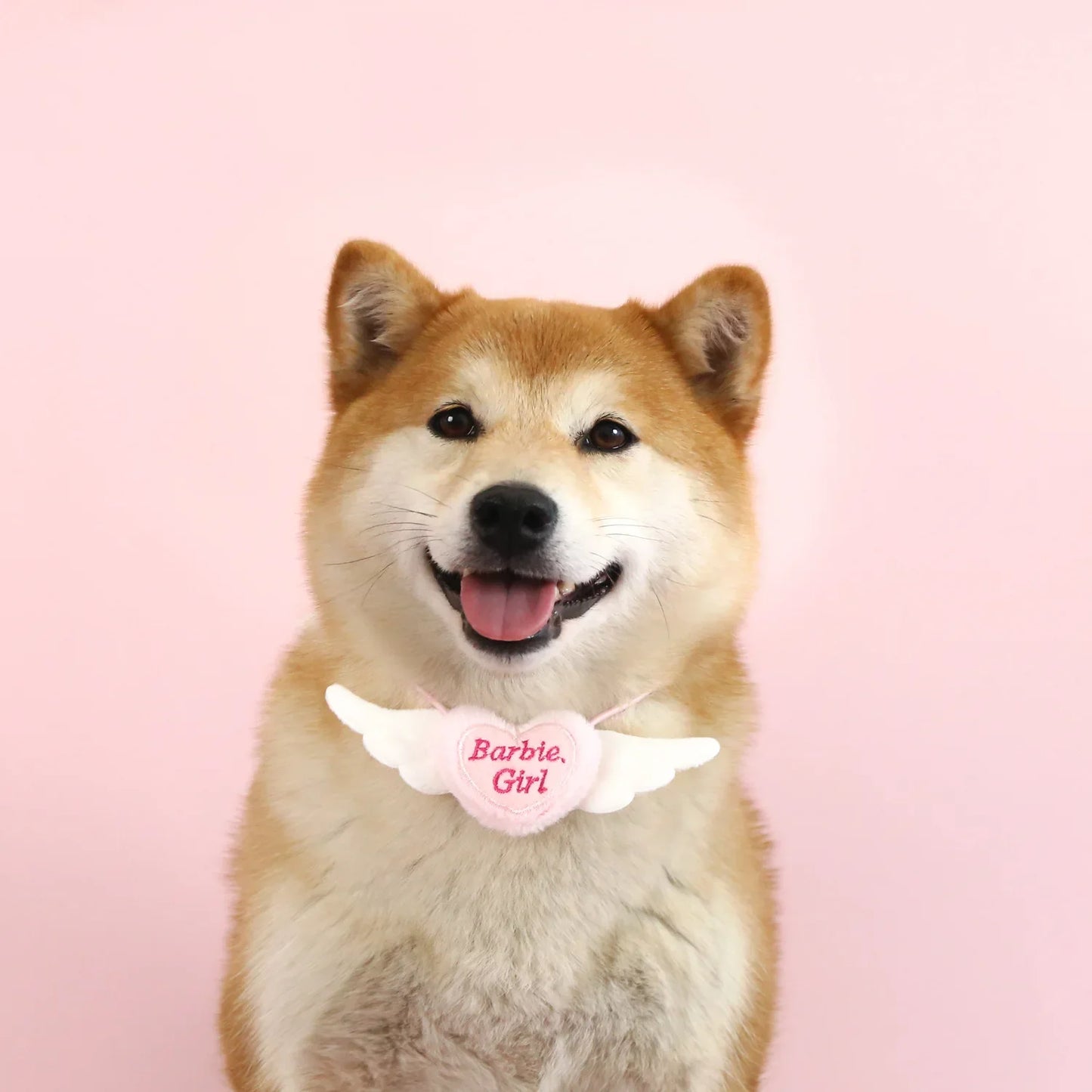 Pet Plaid Love Wing Collar Cat Puppy Teddy Angel Princess Bib Pink Blue Cute Necklace