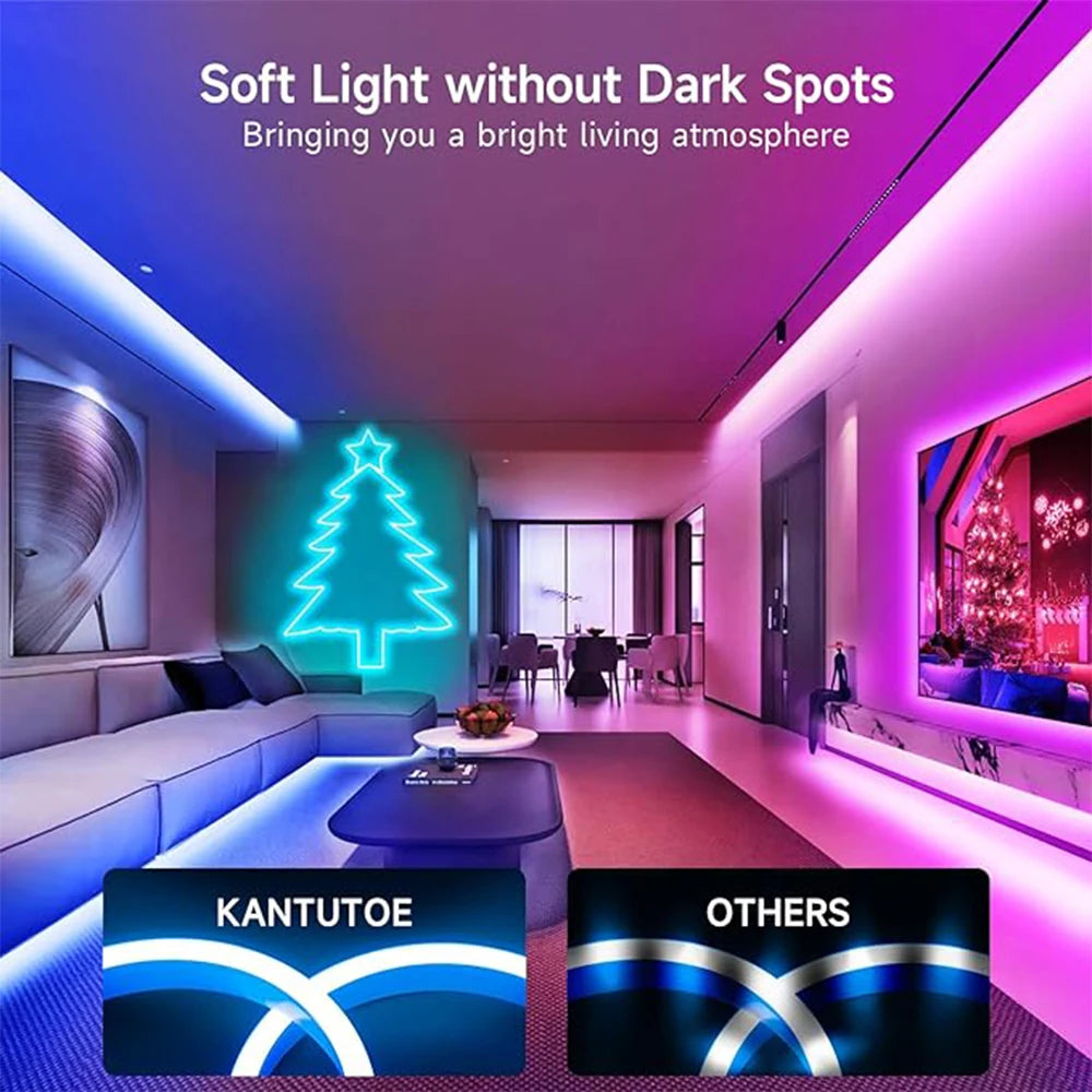 5M Silicone Neon LED Strip 24V Bluetooth RGB Music Sync IP67 Waterproof 72LEDs/M Rope Light for Home Party Decor